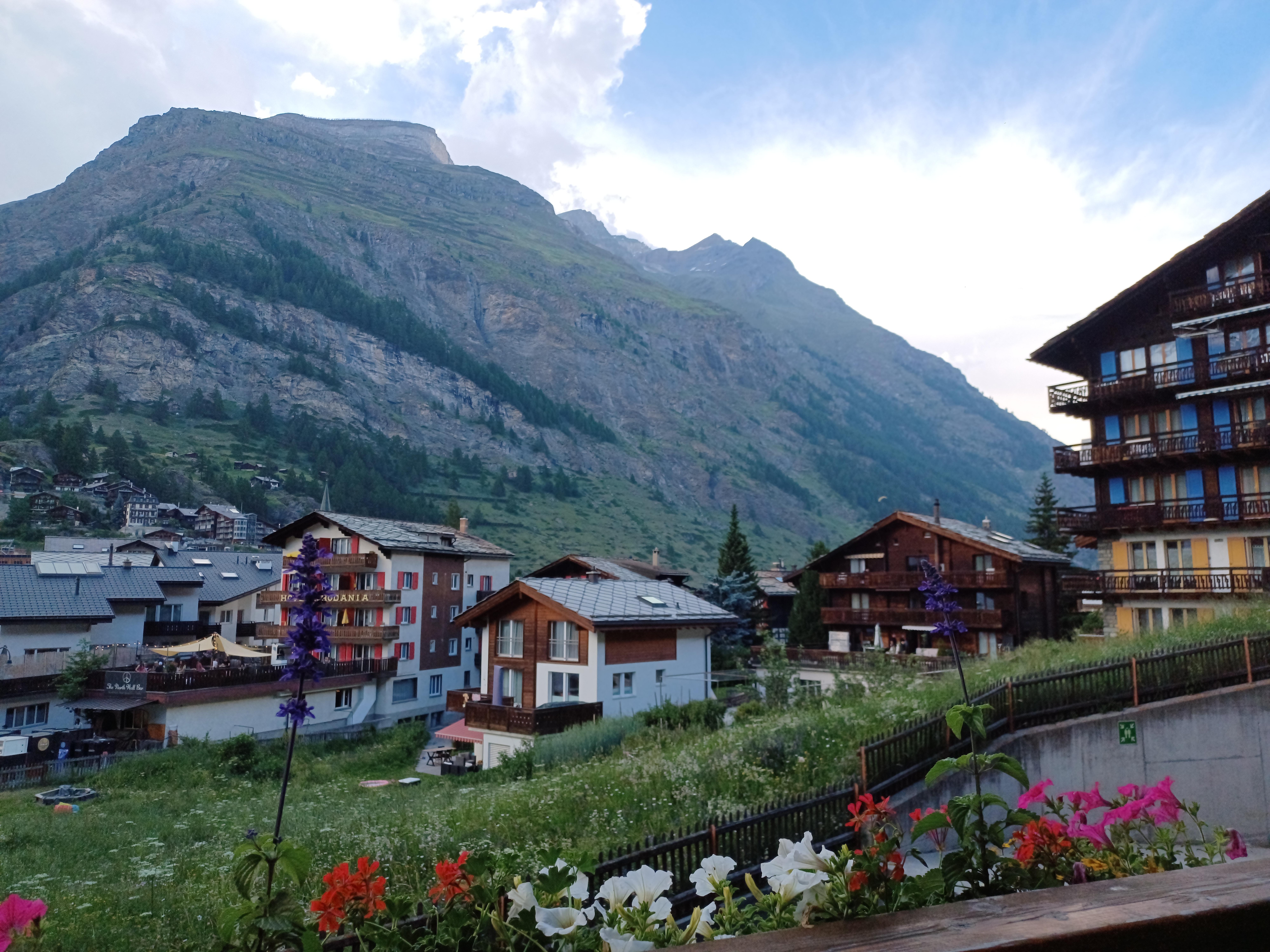 Nice view from the porch of the room