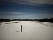 View from picture window.