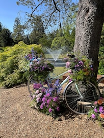 Van Duesen gardens