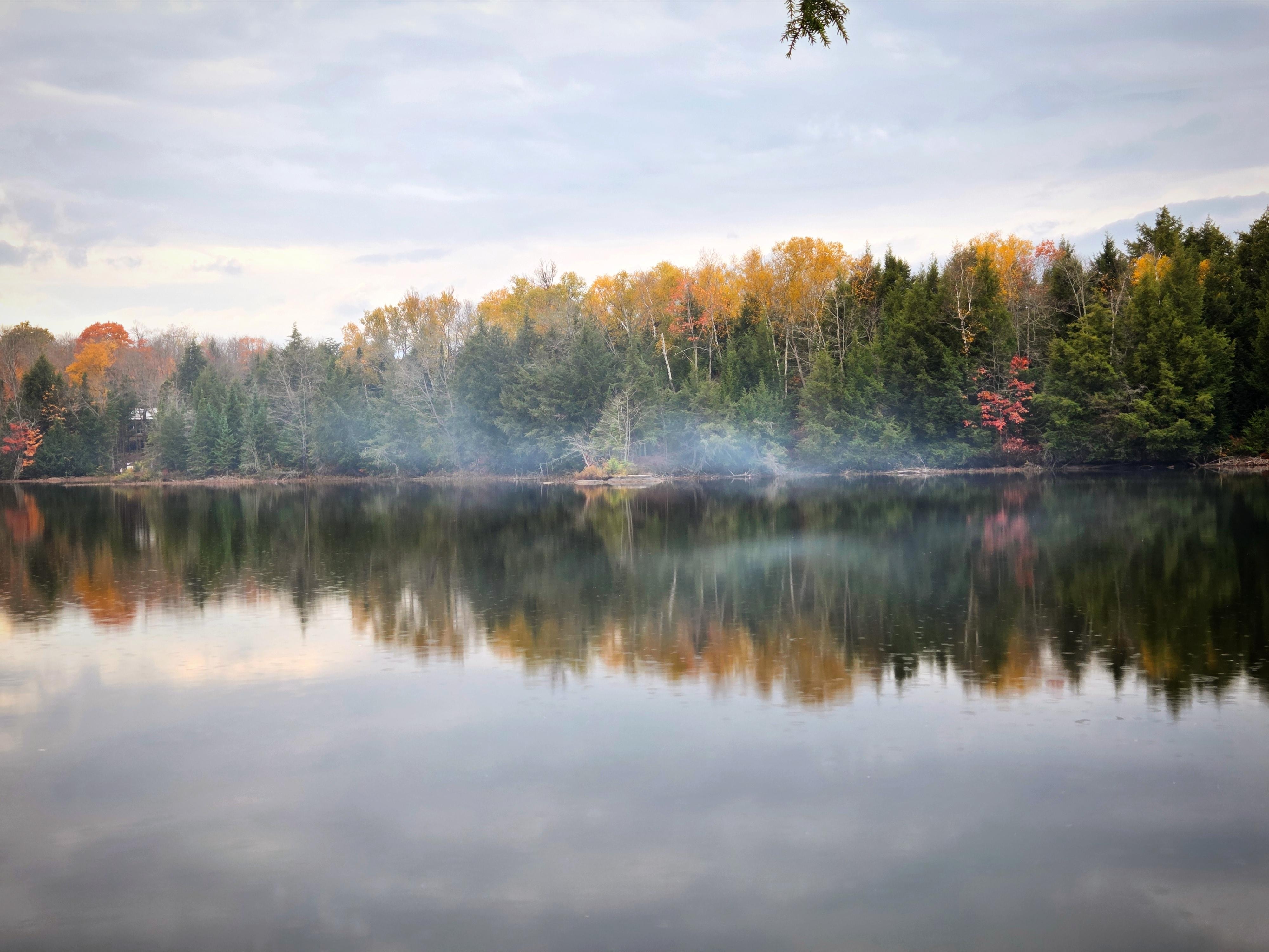 Morning view from the dock