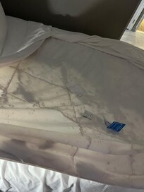 Upon almost suffocating to death, I pulled back my covers and seen black mold.