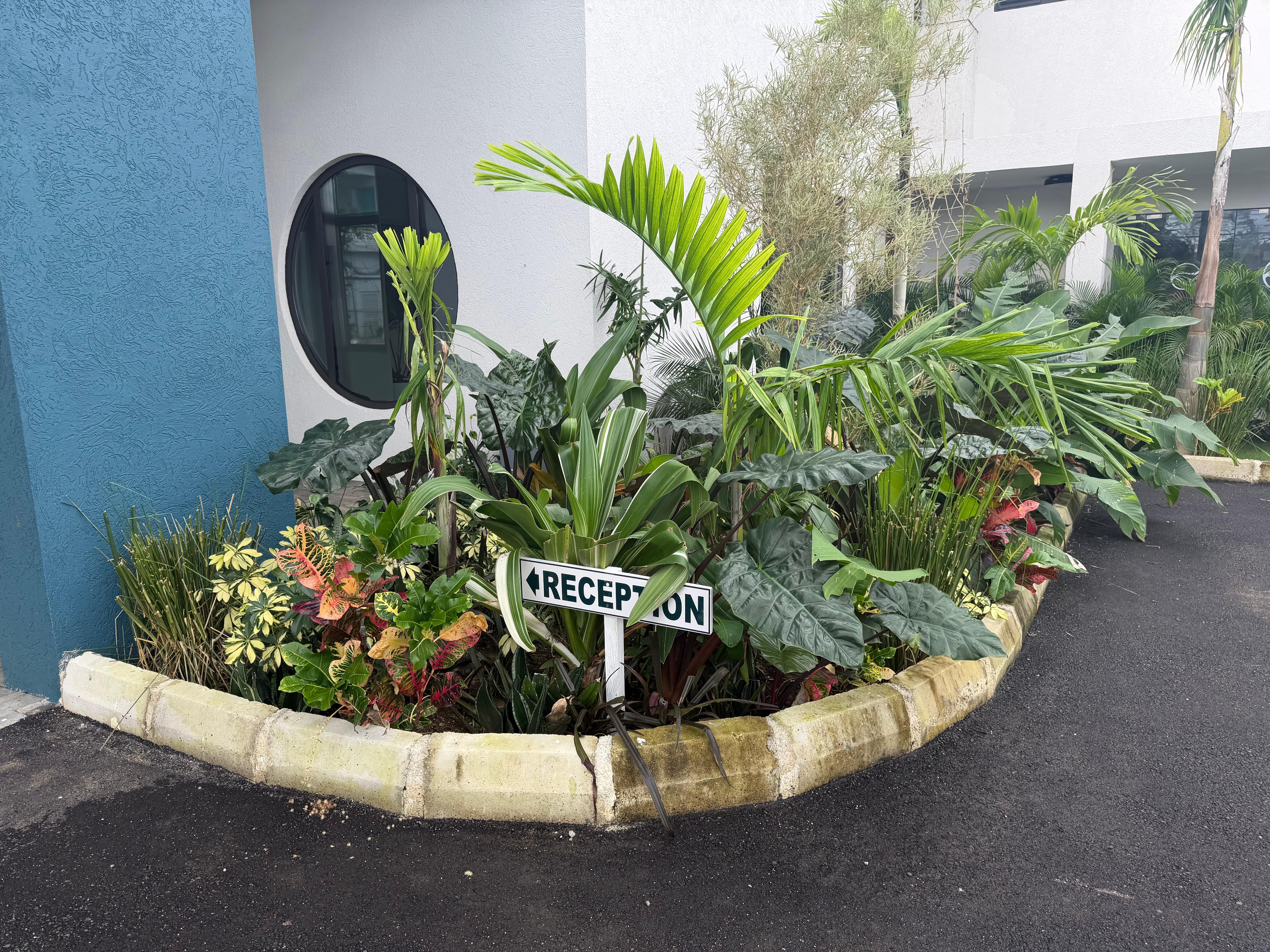 Beautiful and welcoming reception area.