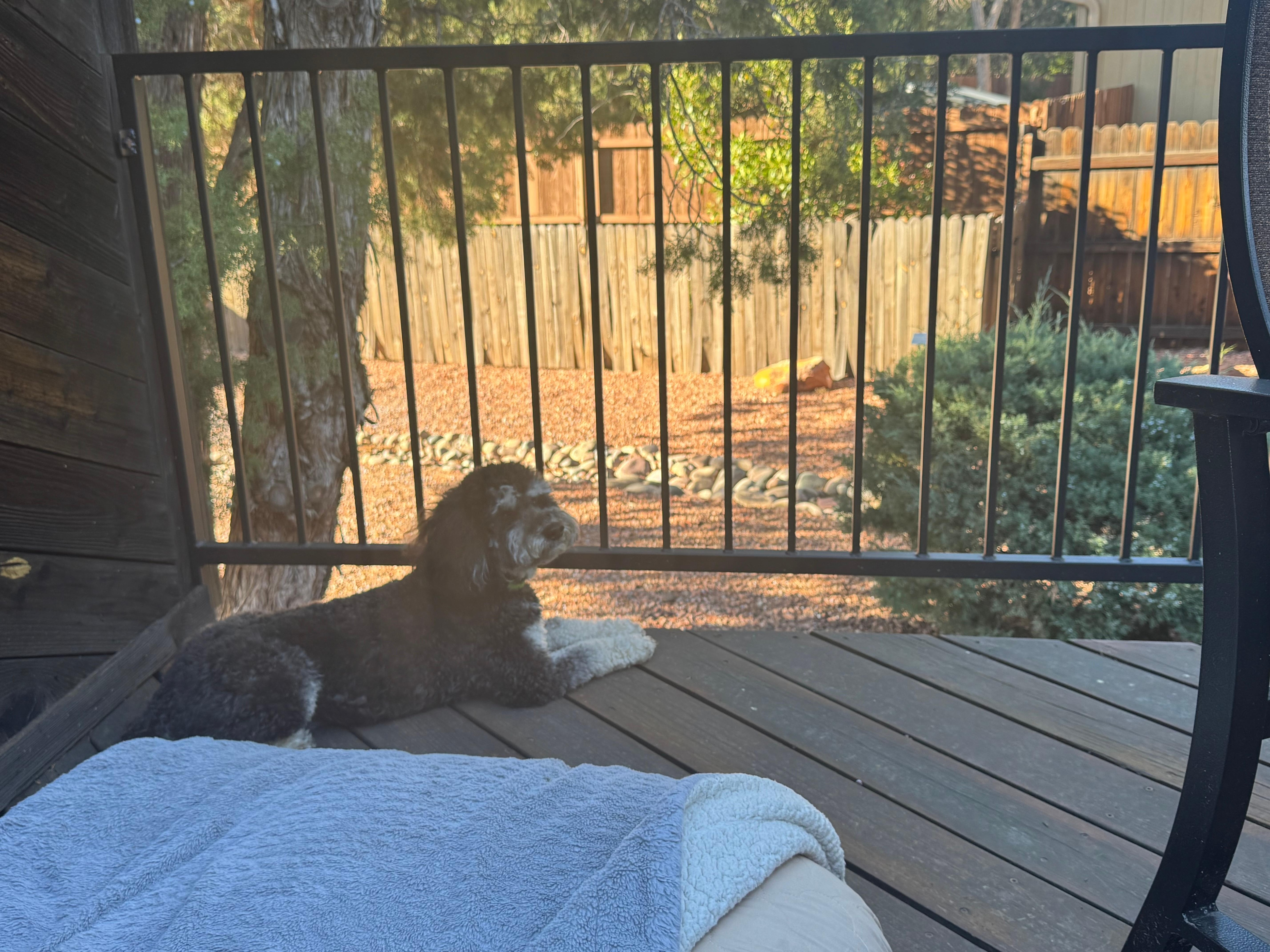 Relaxing on the beautiful deck!