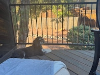 Relaxing on the beautiful deck!