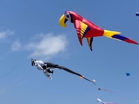 There was a kite festival on the beach while we were there.