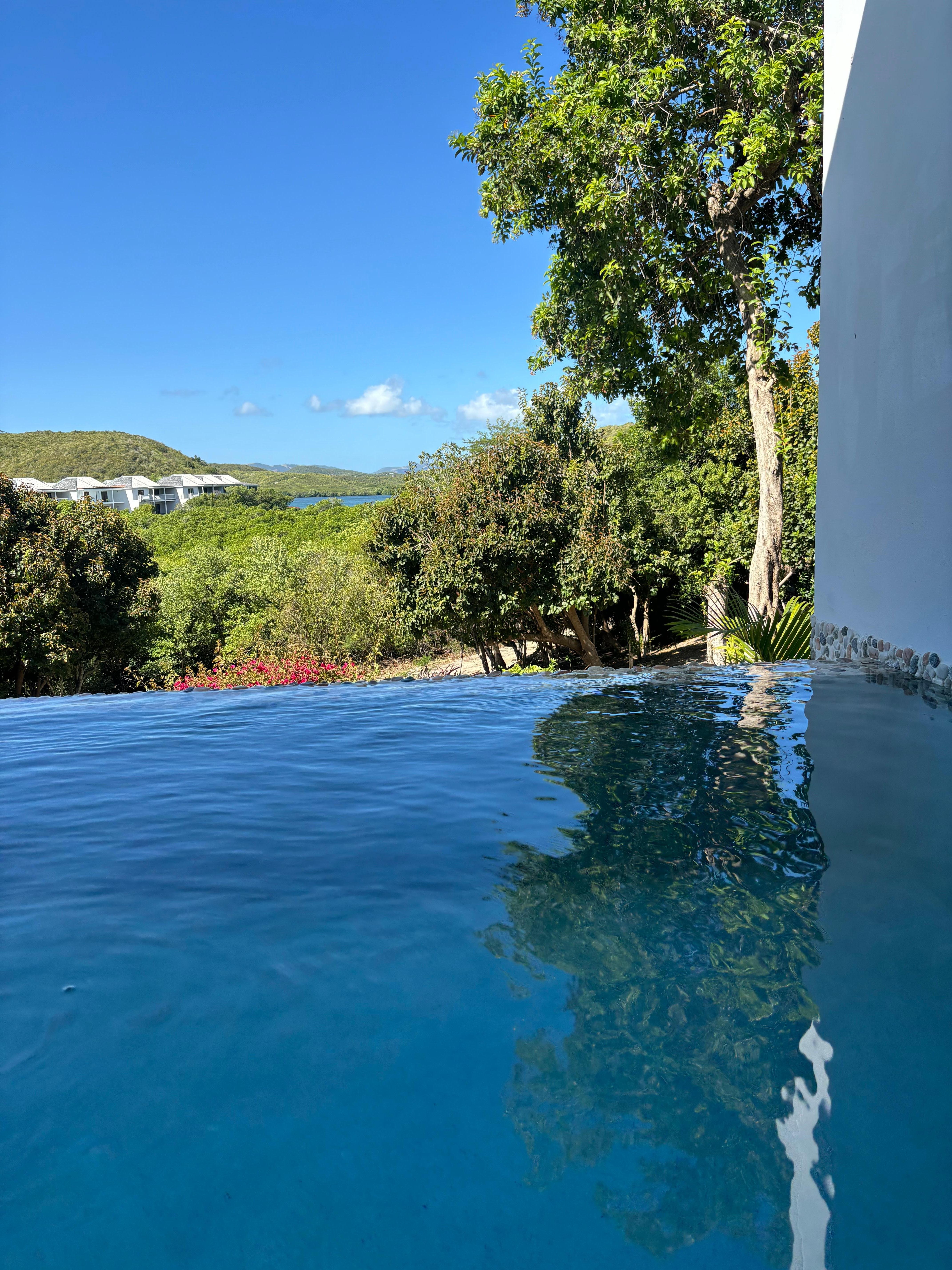 Plunge pool was great