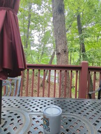 Porch was big and wonderful to eat dinner or just sit and talk. View was amazing!