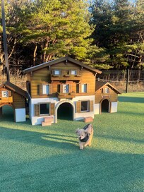 강아지 공간, 다른 공원이 너무 멋진데 인물들이 나와서 사진 못올림. 너무 아름다운 리조트