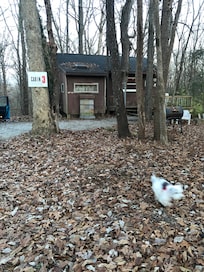 Outdoor plug was great for charging our EV!