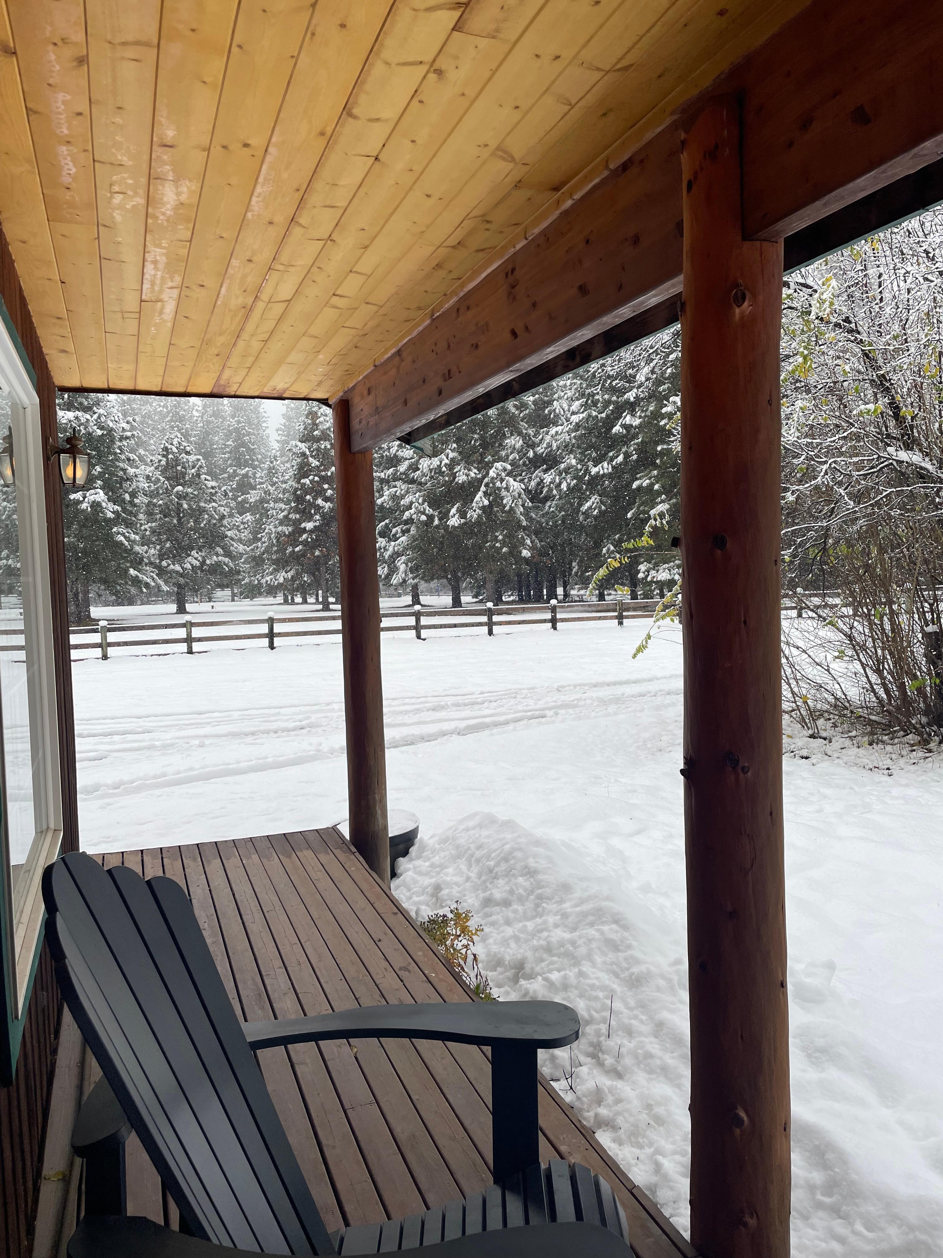 Thanksgiving weekend 2025, it snows the night before! 