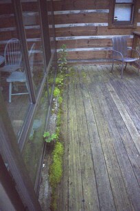 North side of Sunroom
