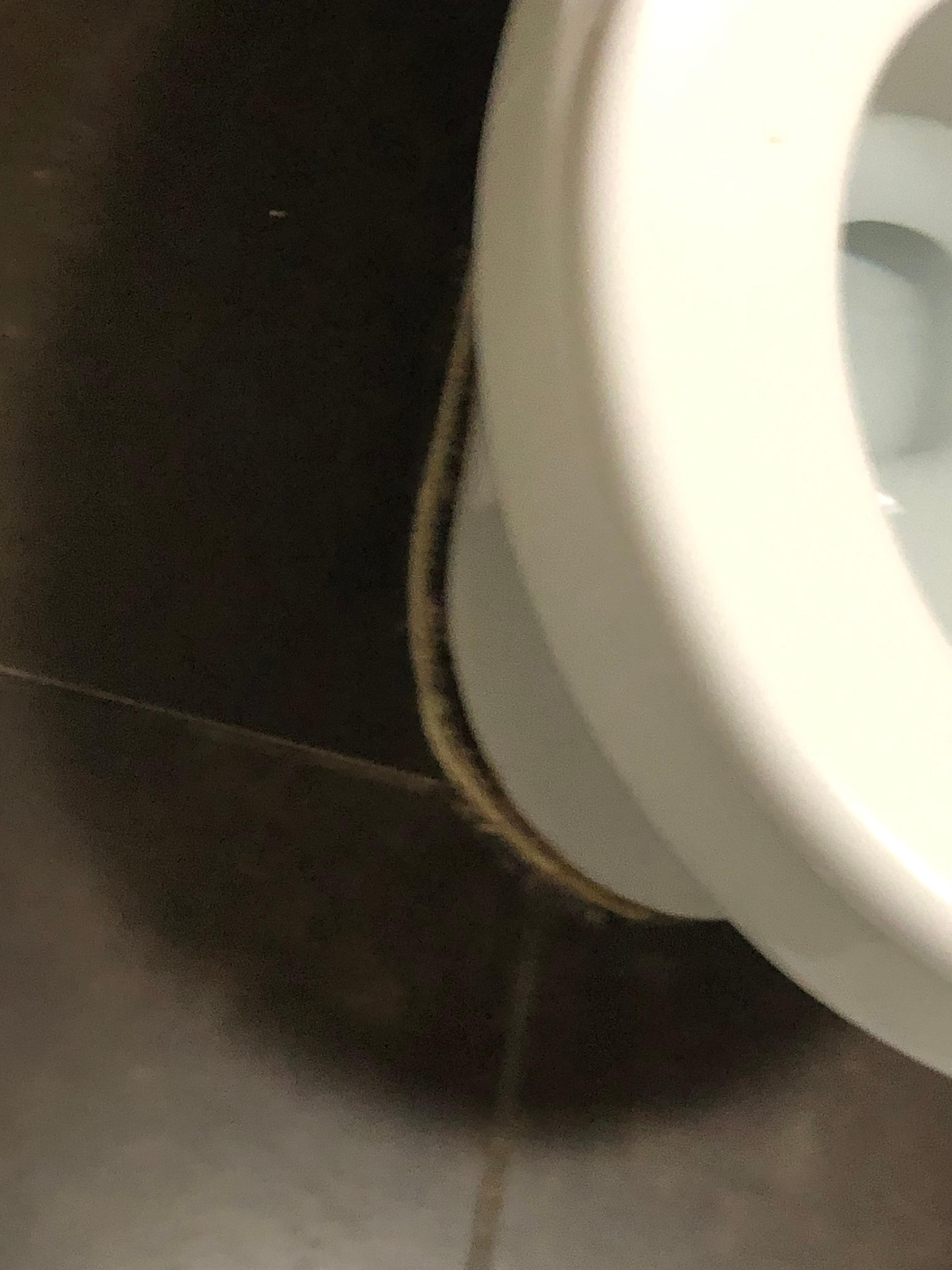 Loose toilet 