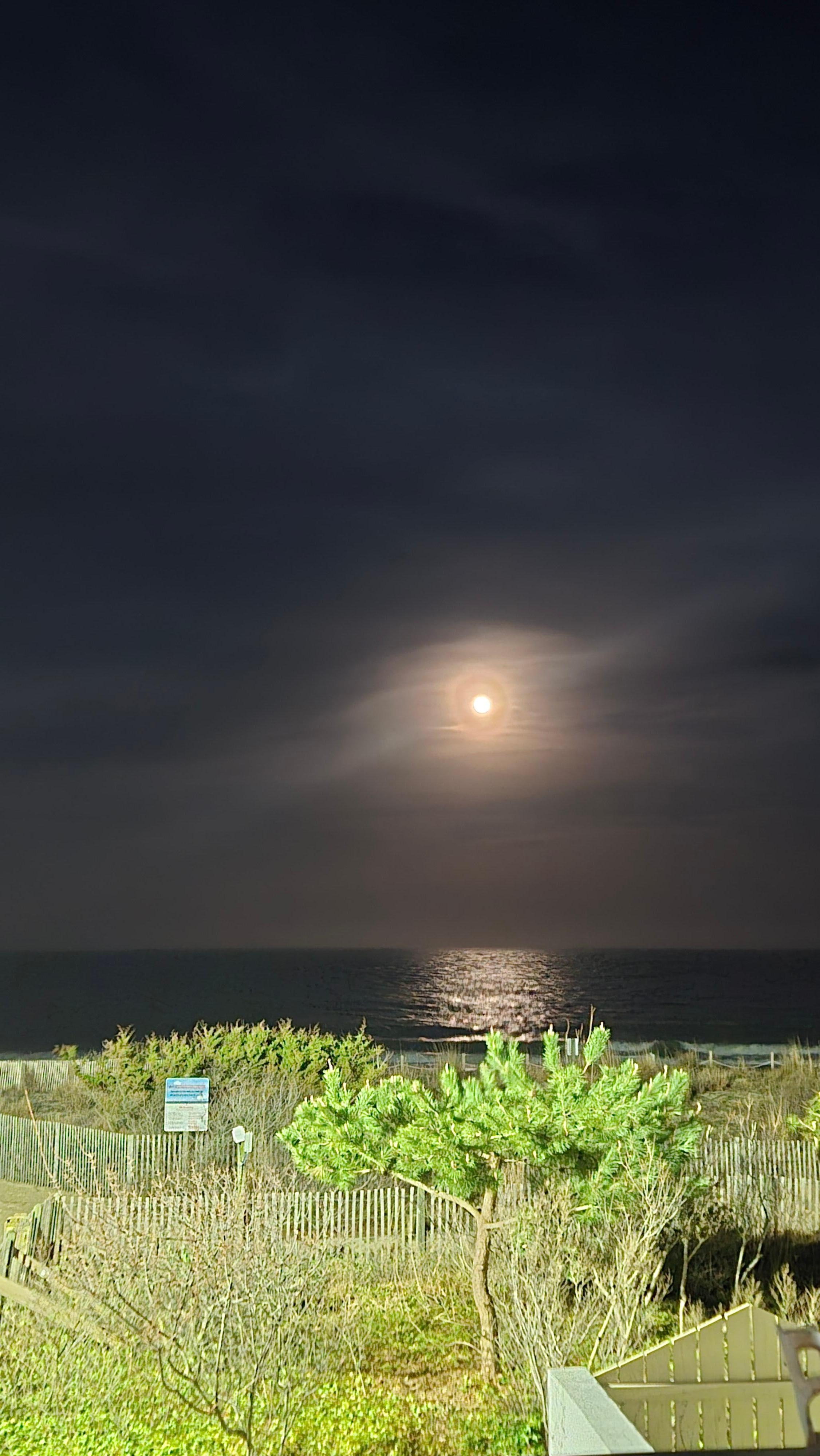 Nightly view from the balcony 