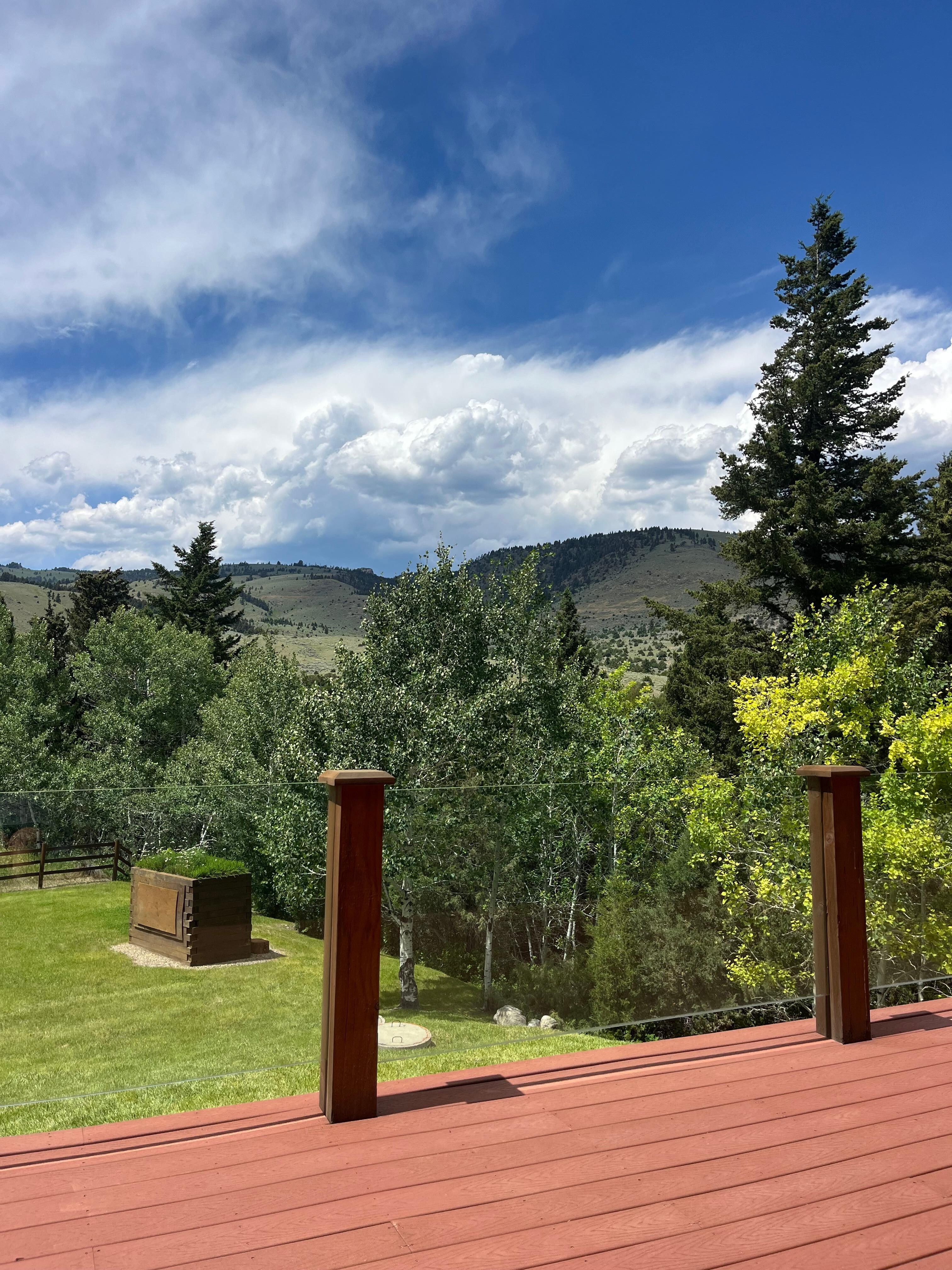 Sitting on the back porch 