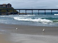 Turn away from the house and toward the ocean for this lovely view of the Ocean Beach Pier.