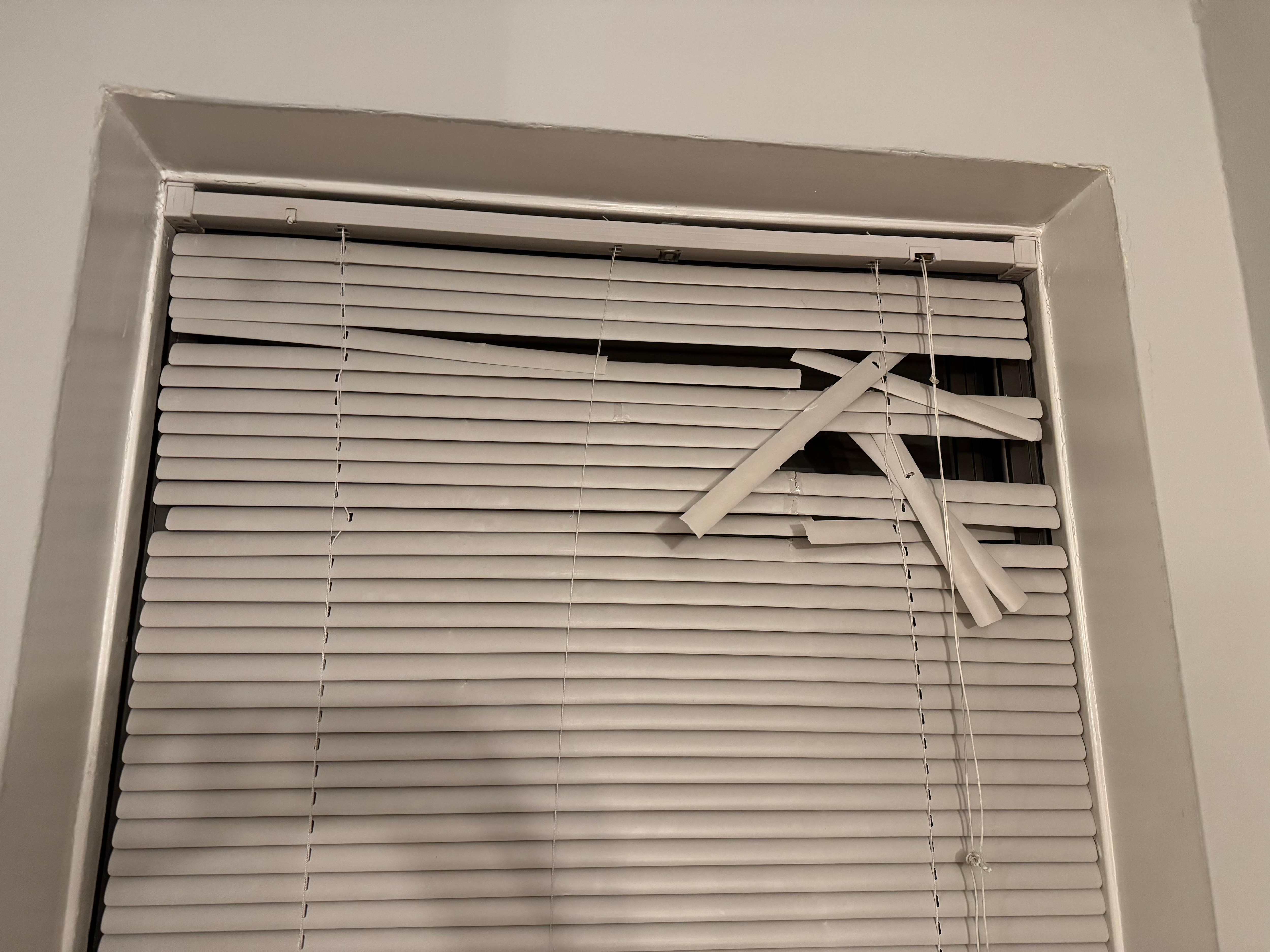 Window blind