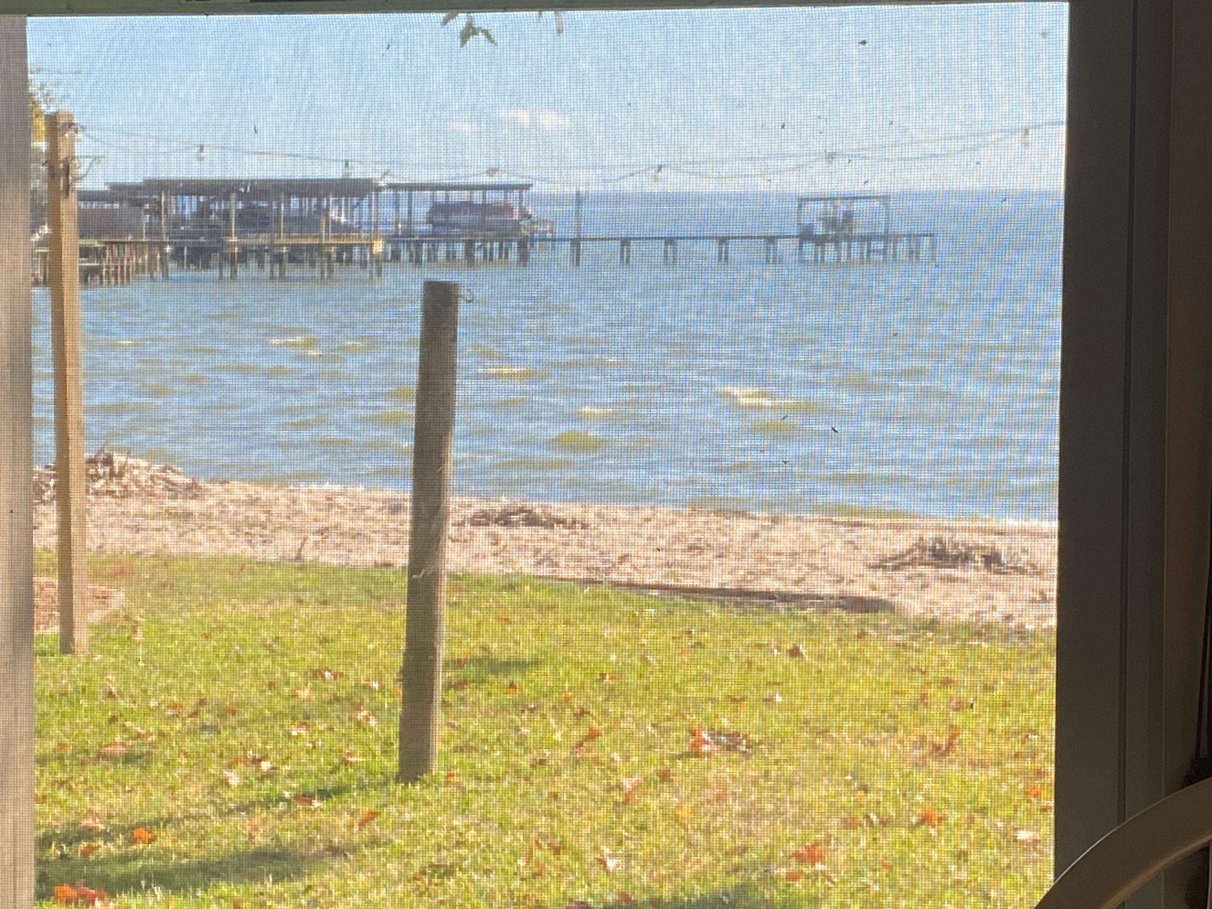 Morning on the back porch 