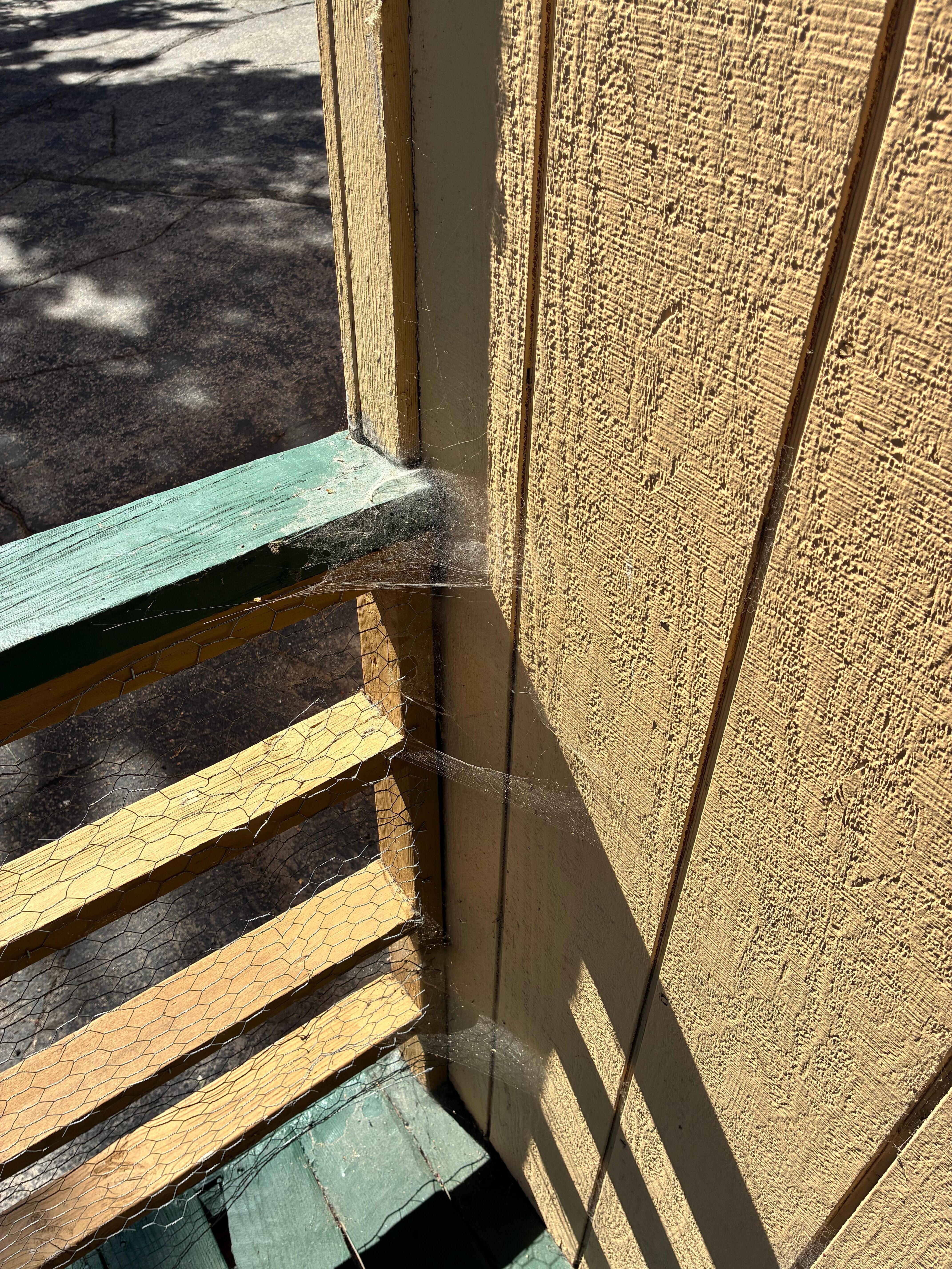 Spiderwebs everywhere 
And the fence was chicken wire fence Cheapest fence ever