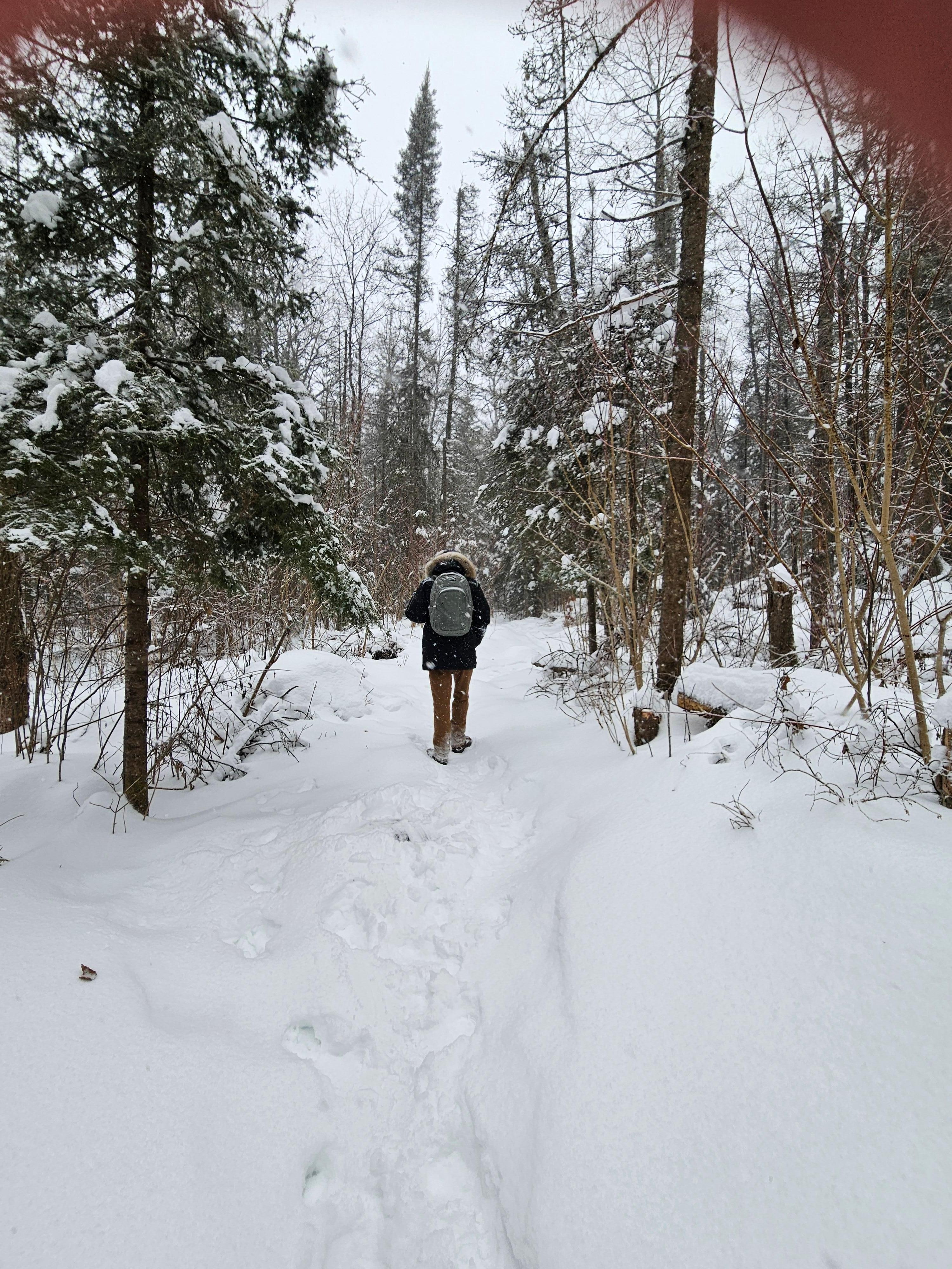 Corbeil nature trail 