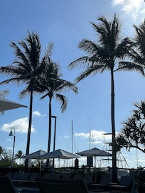 View from pool