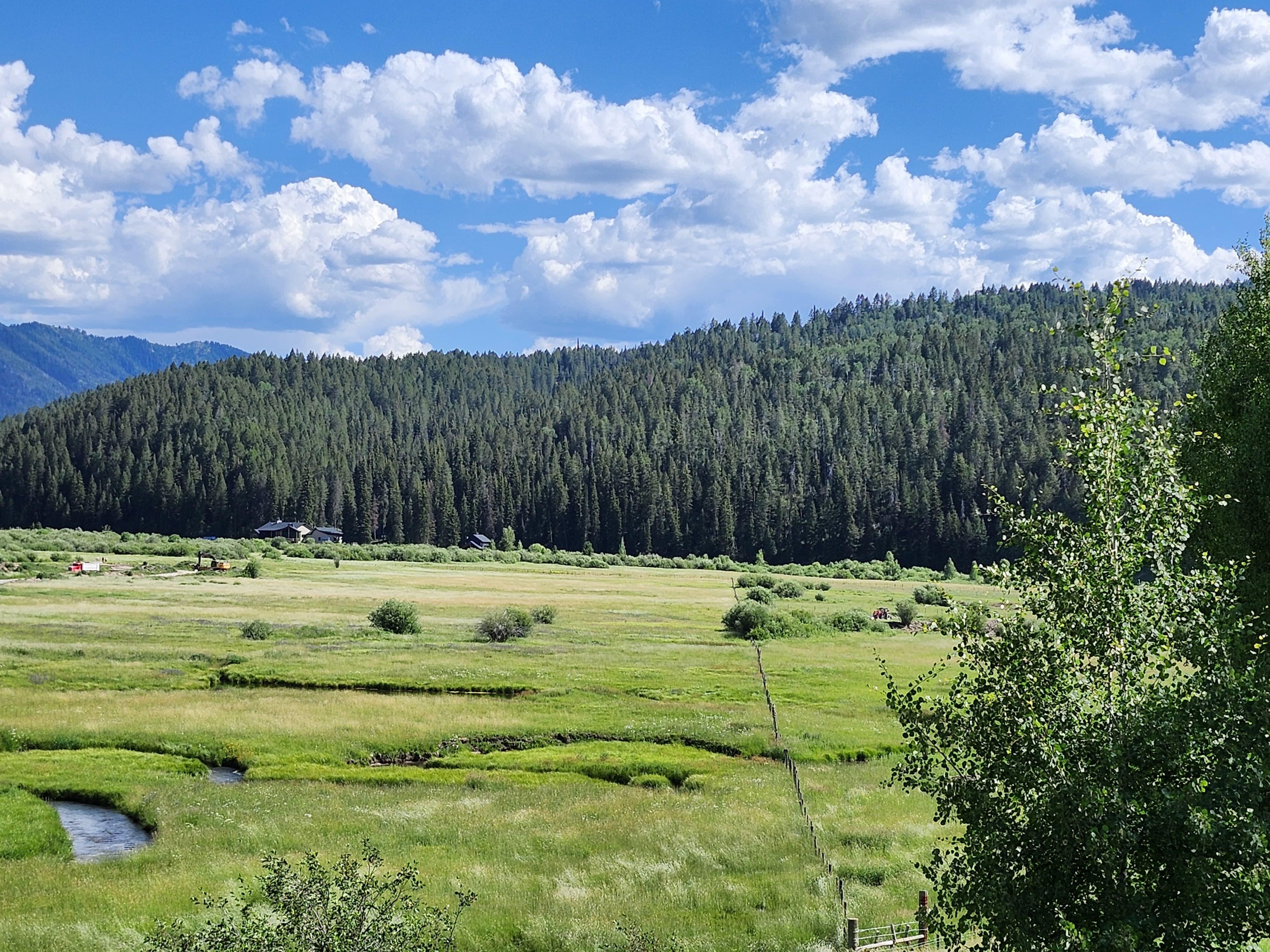  Jew from the property