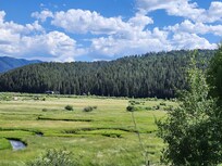 Jew from the property