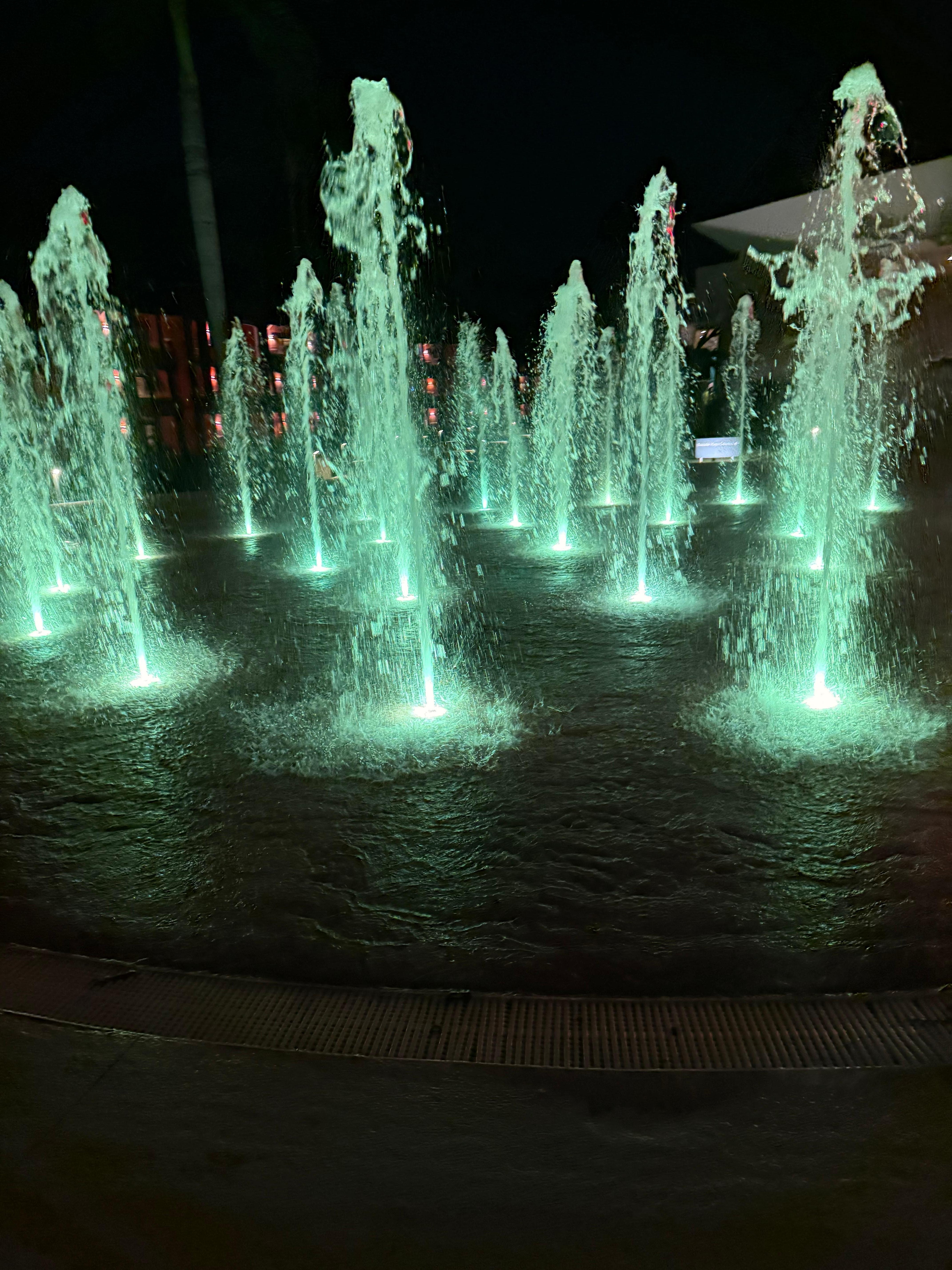 Loved all the water features thru out the resorts