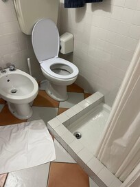 Try using the shower, toilet or bidet without tripping on the wet floor