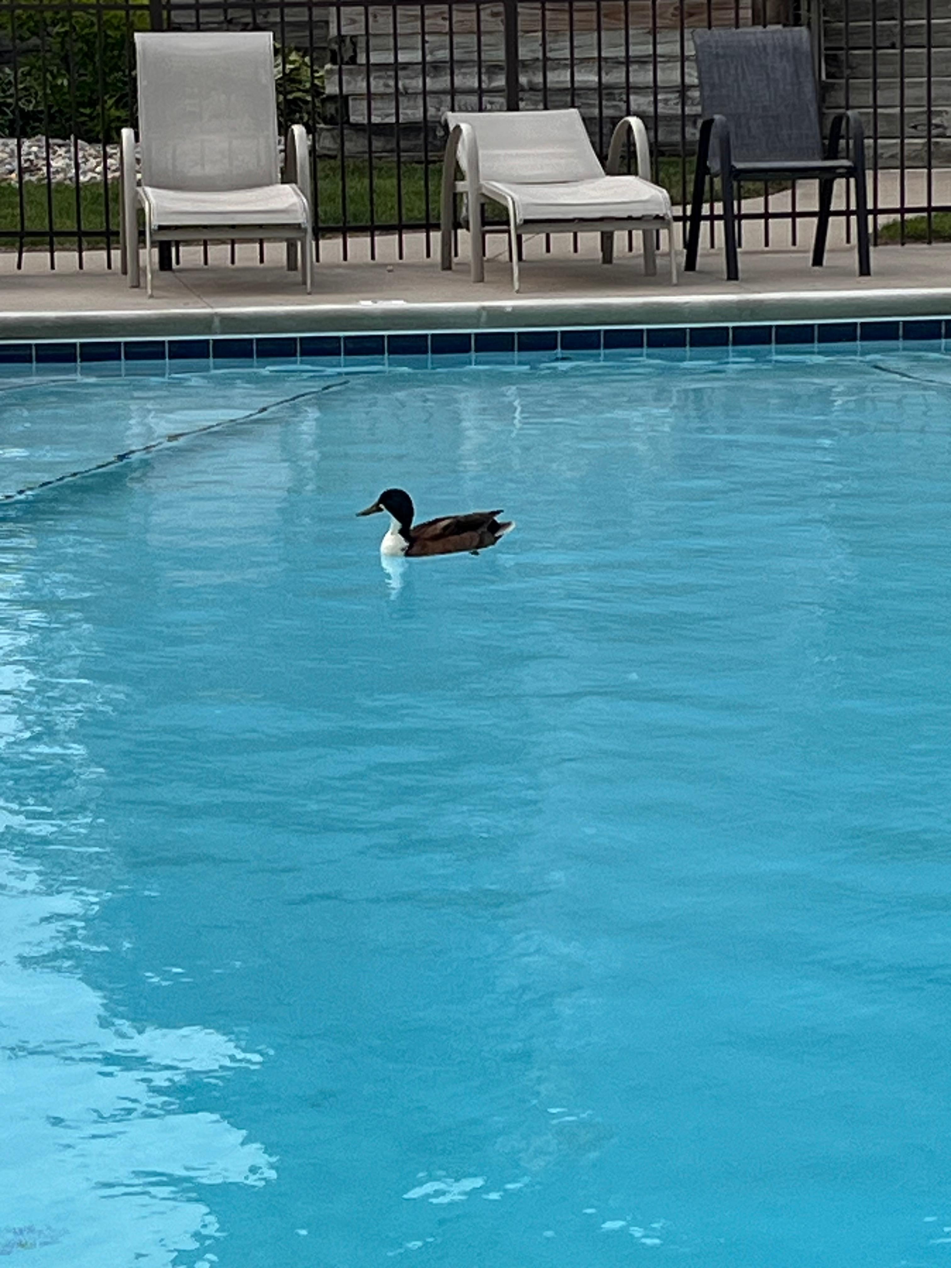 First night visitor 😂