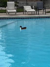 First night visitor 😂