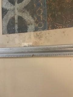 Frame between beds with mold.