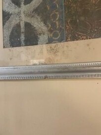 Frame between beds with mold.