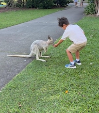 Kids loved feeding the kangaroos and they were really freindly