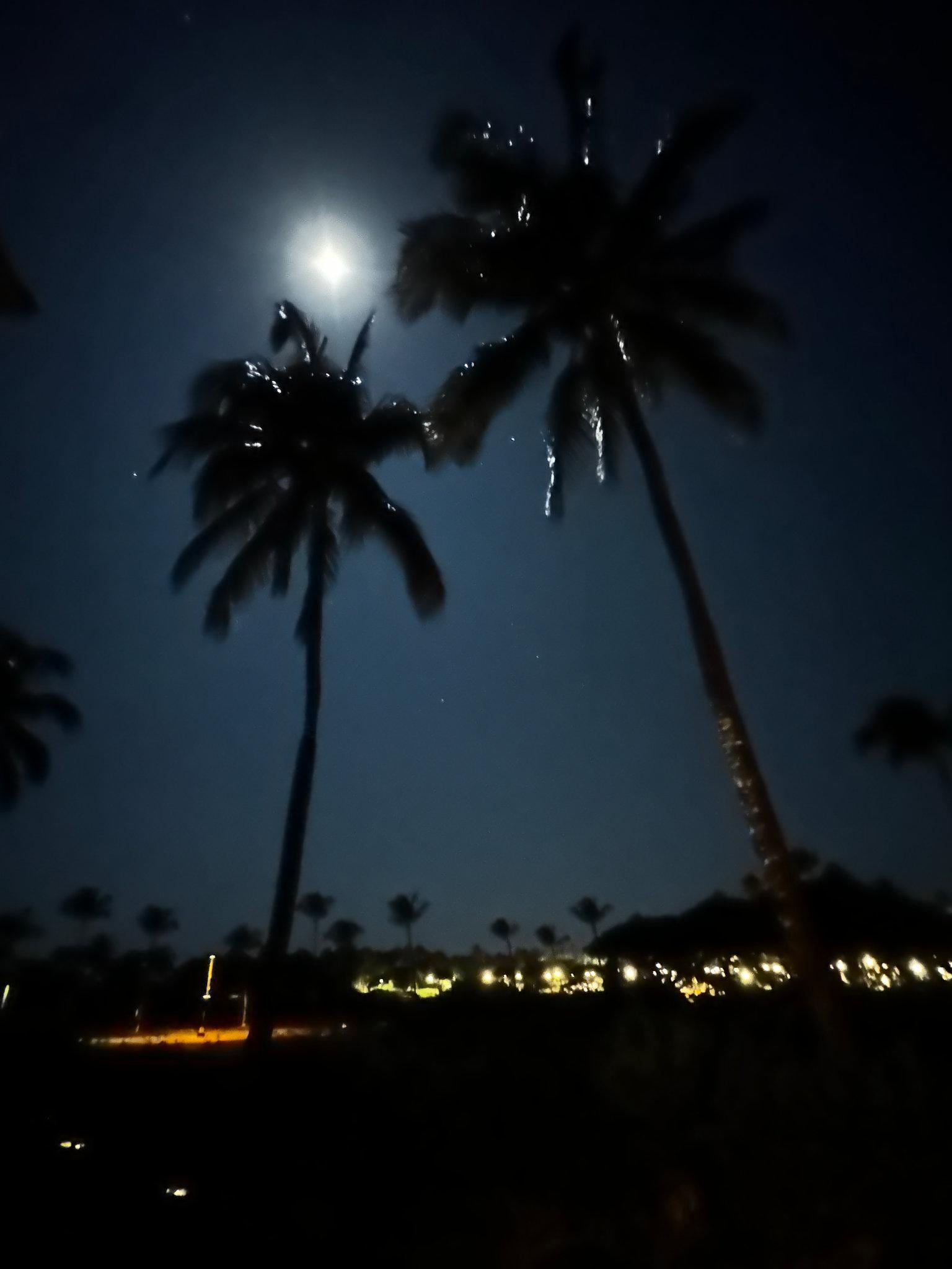 Early morning from the lanai