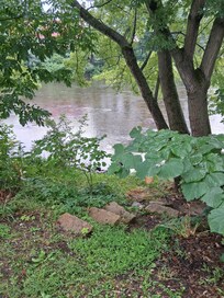 View of river across the street