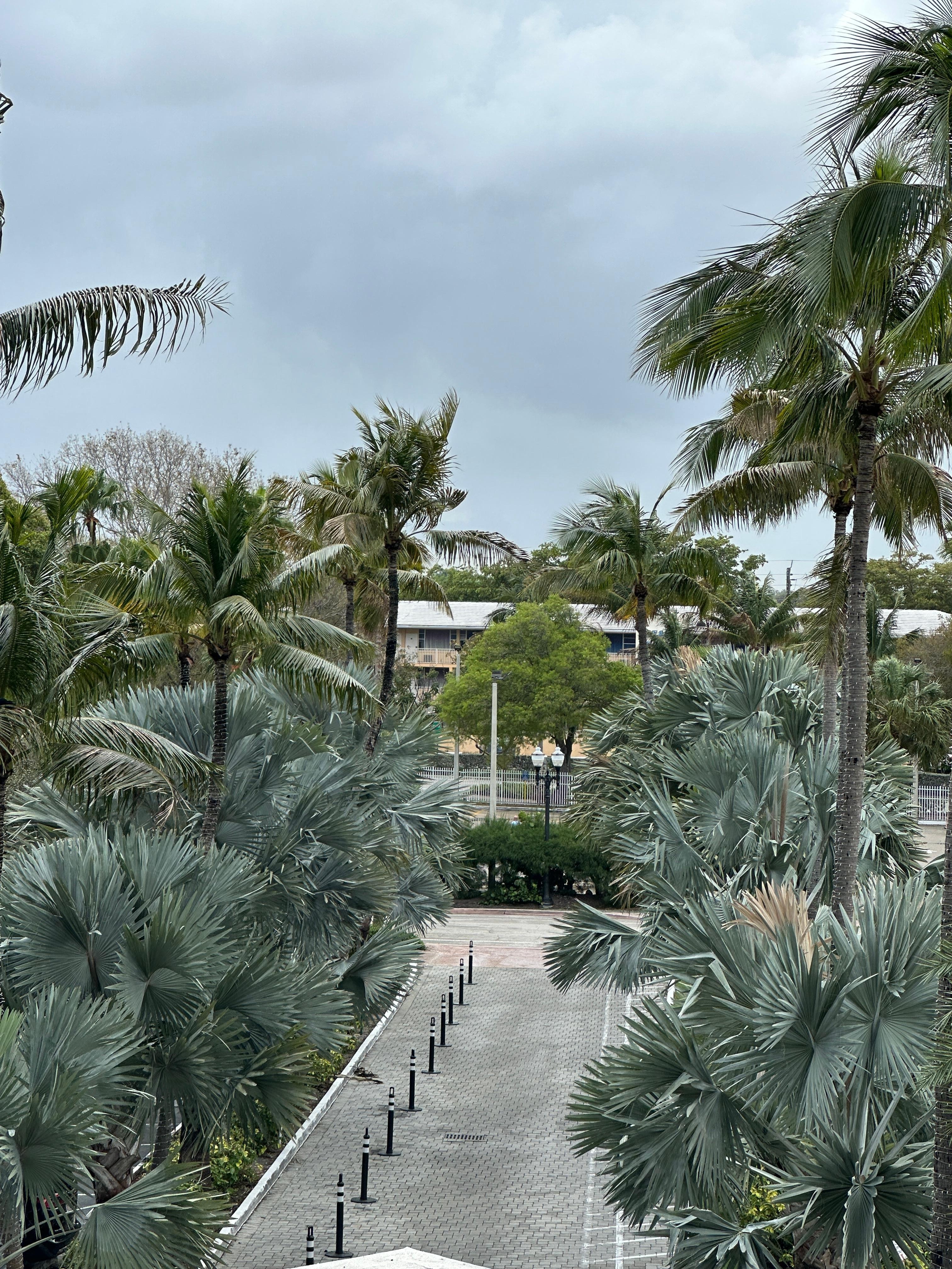 View from room in daytime