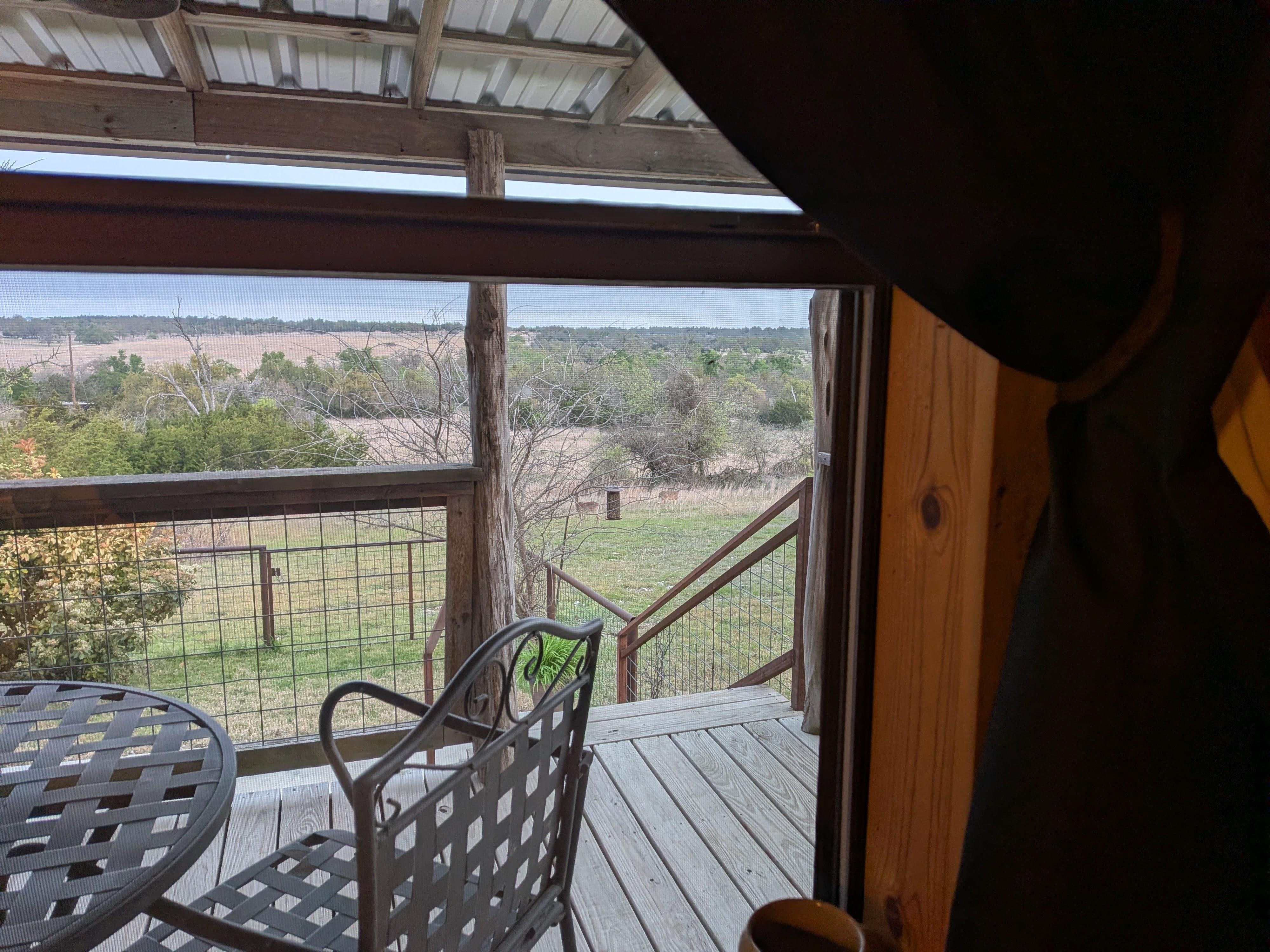 View of the deer taken from inside the cabin.  The chair and table seen are another set out on the deck.  There are also a set of padded chairs as well on the other end of the deck.
