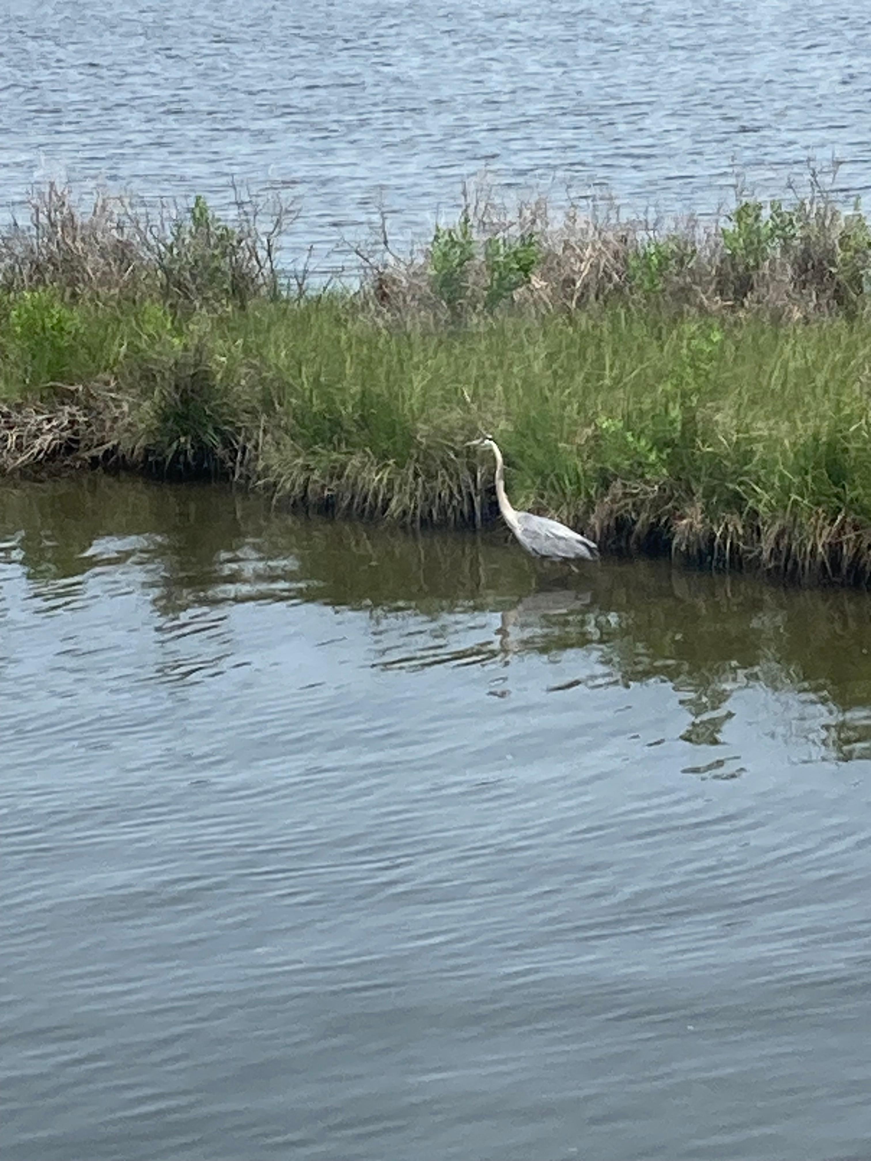 Picture from sunroom 