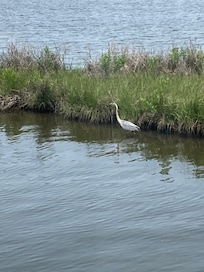 Picture from sunroom