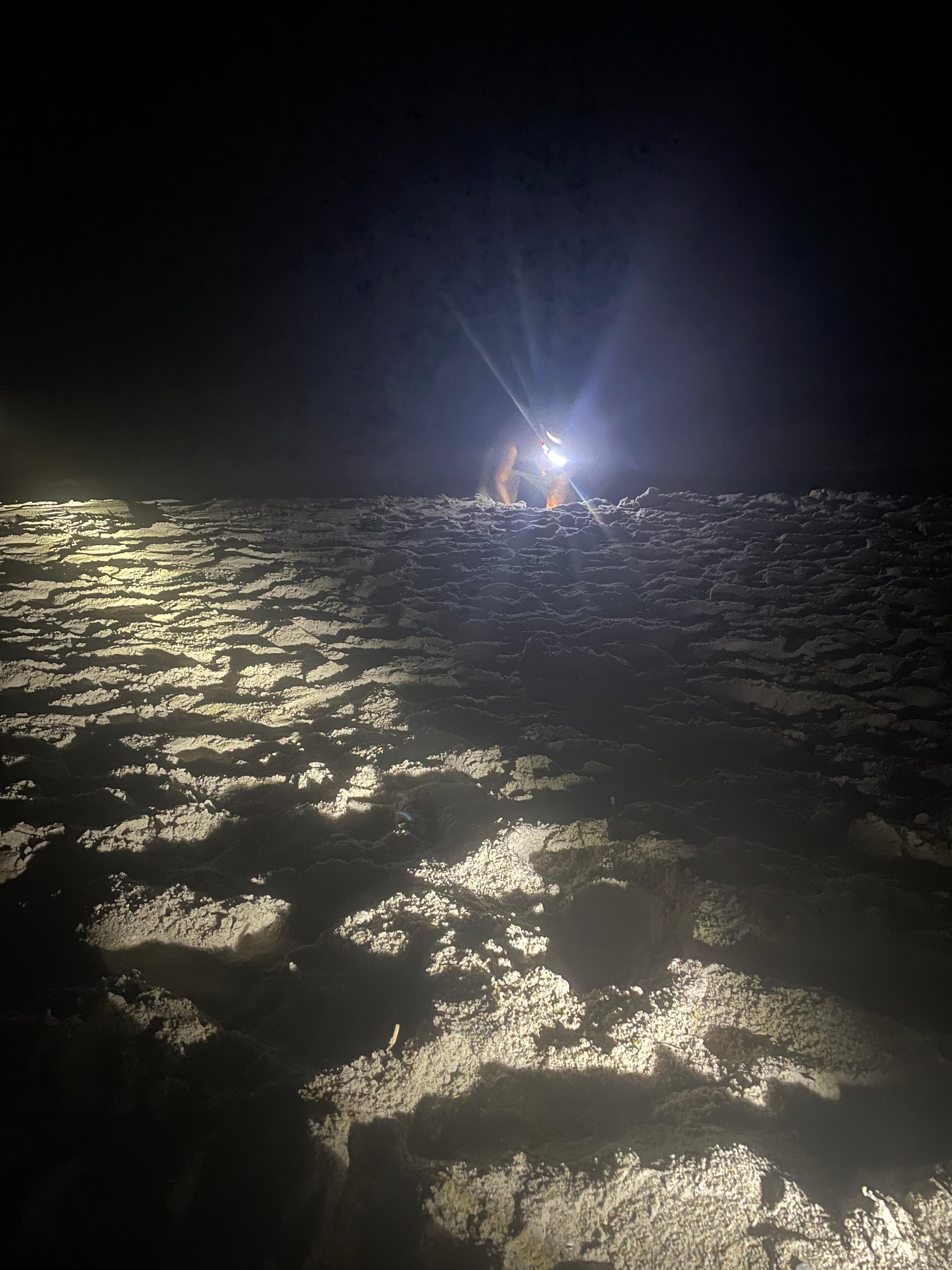 Crab 🦀 catch and release of course 