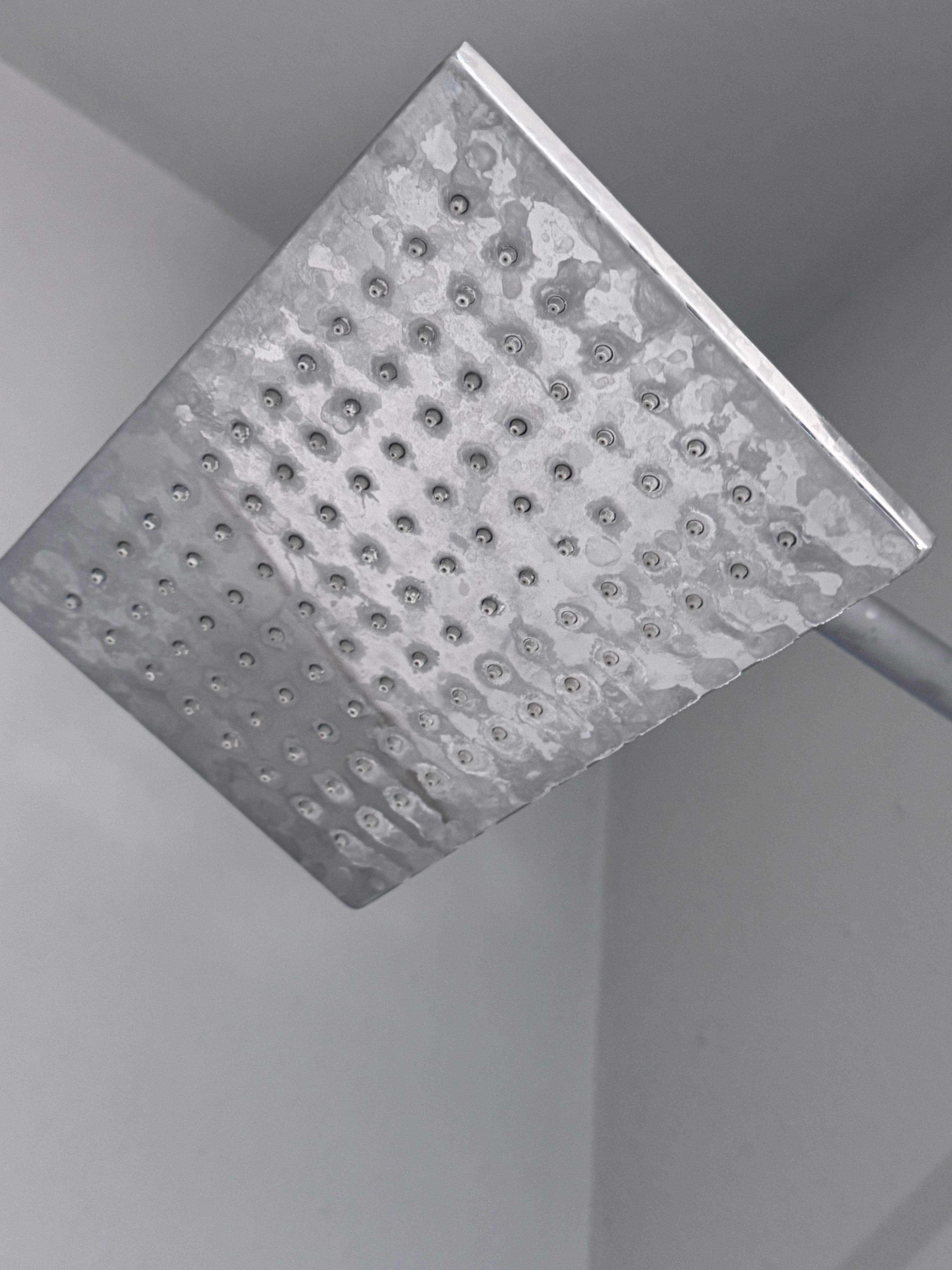 Dirty shower head