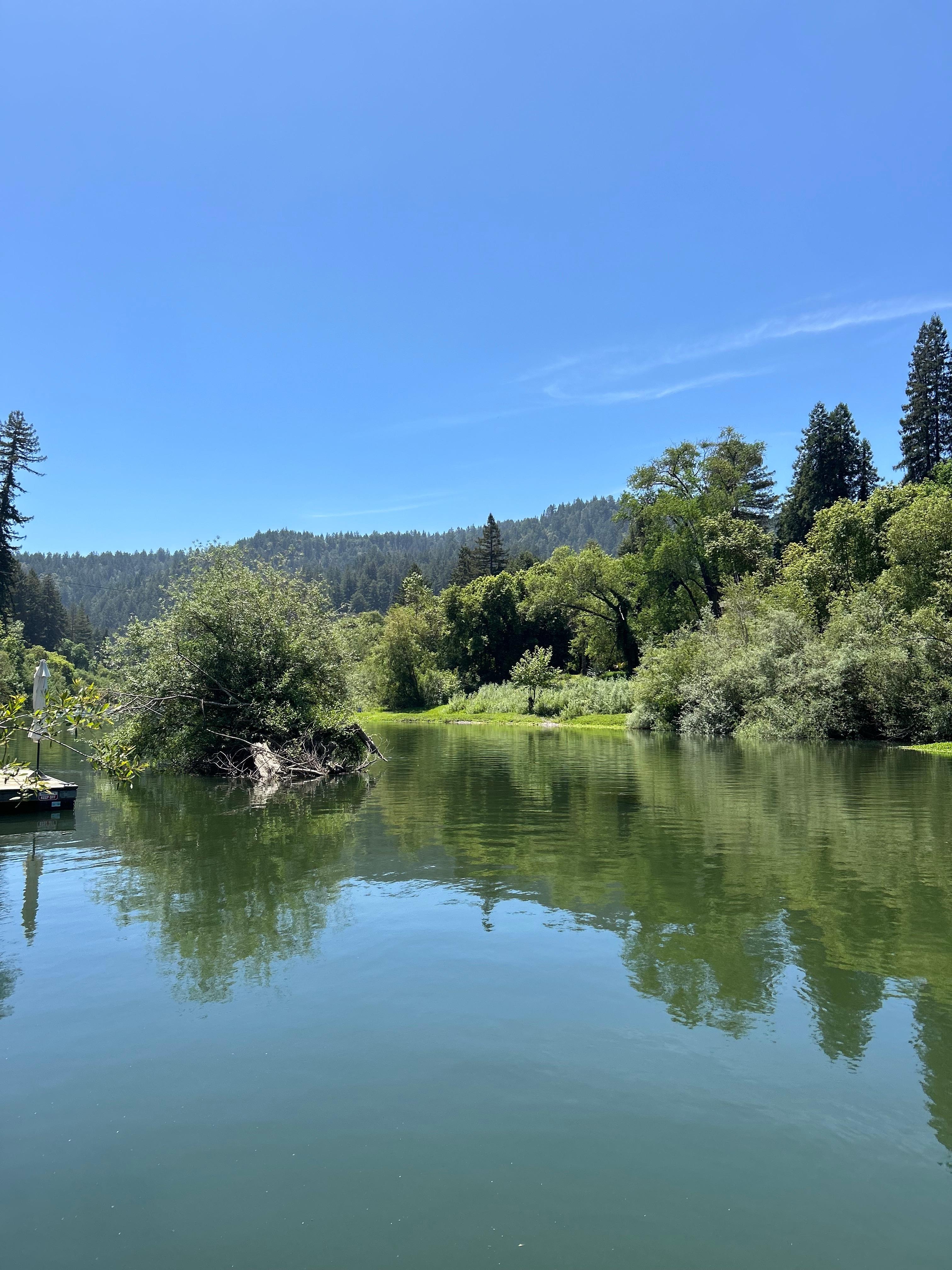 View from the dock