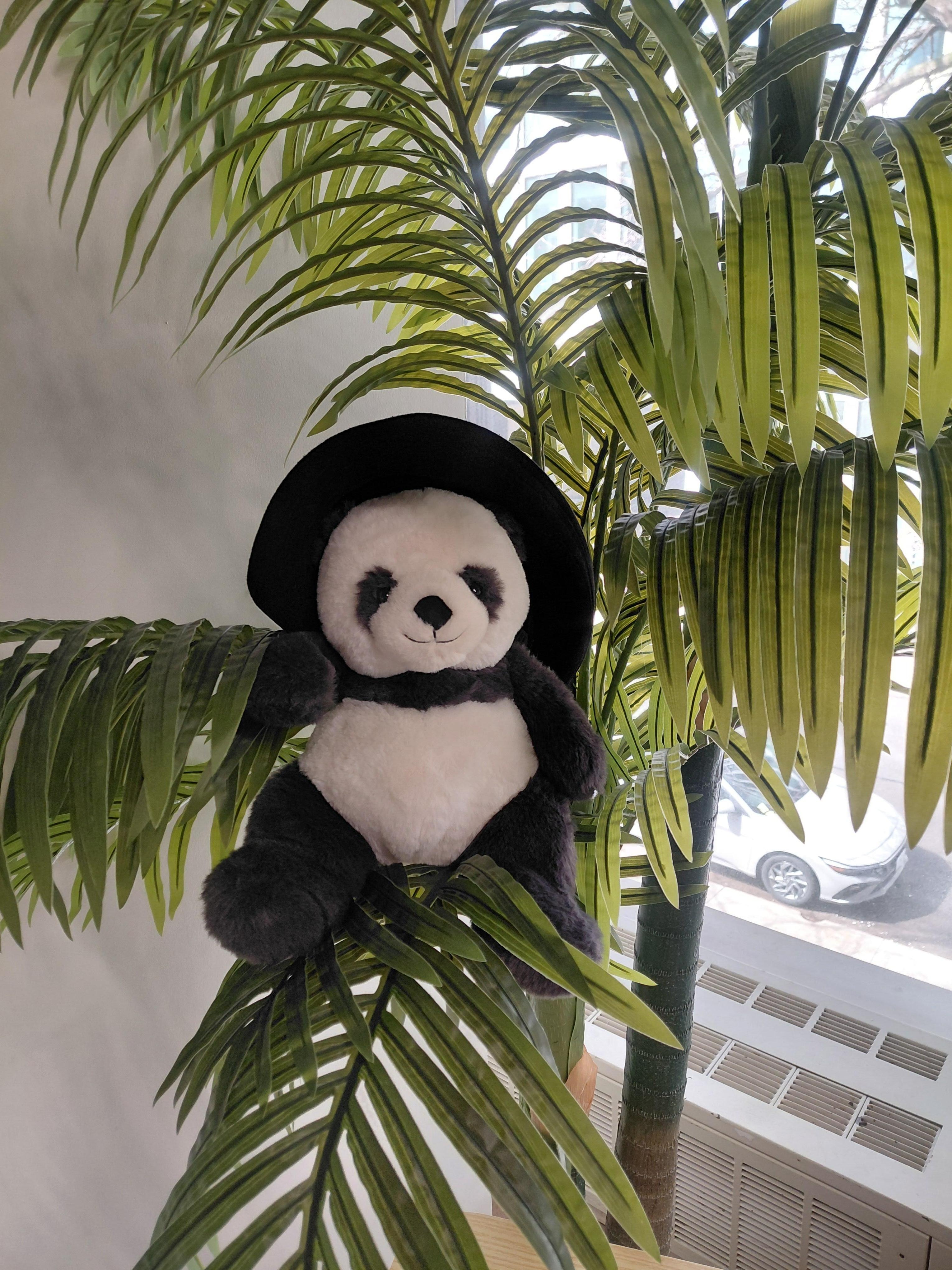 Met a new Panda Friend