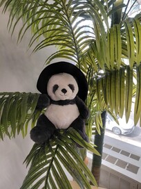 Met a new Panda Friend