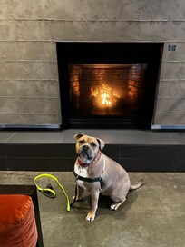 Very pet friendly and so welcoming.