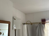 Mold streaks on walls