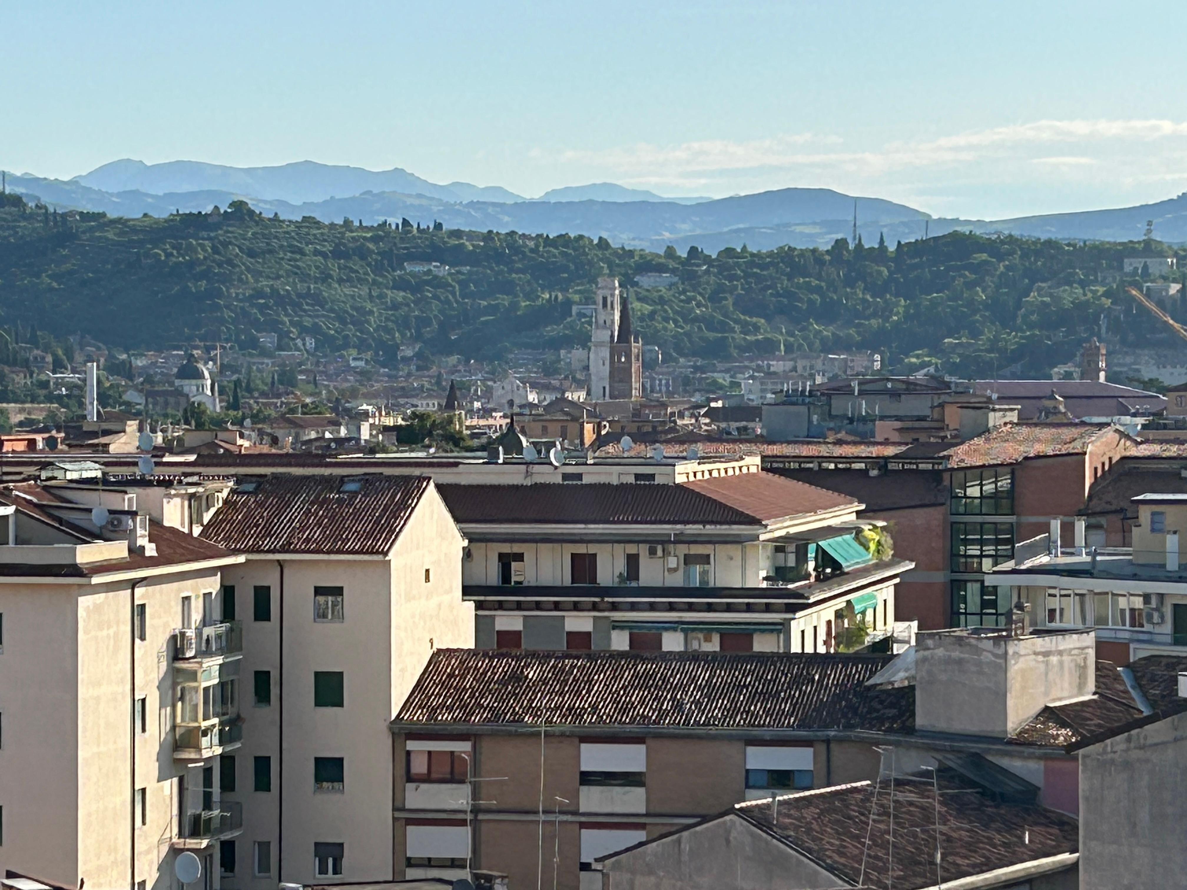 View from the terrace of the apartment 