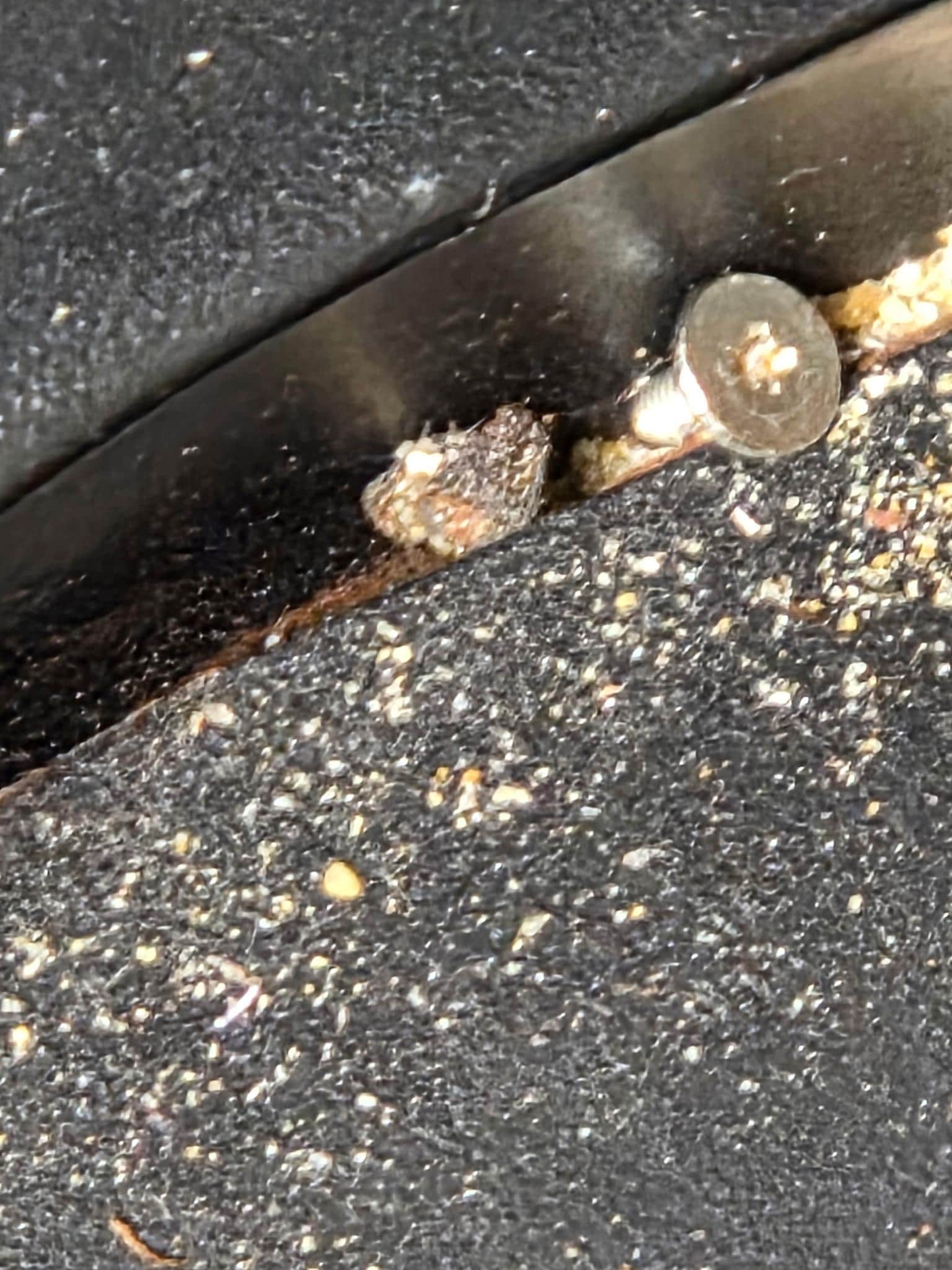 Bug carcass and crumbs on bed frame.