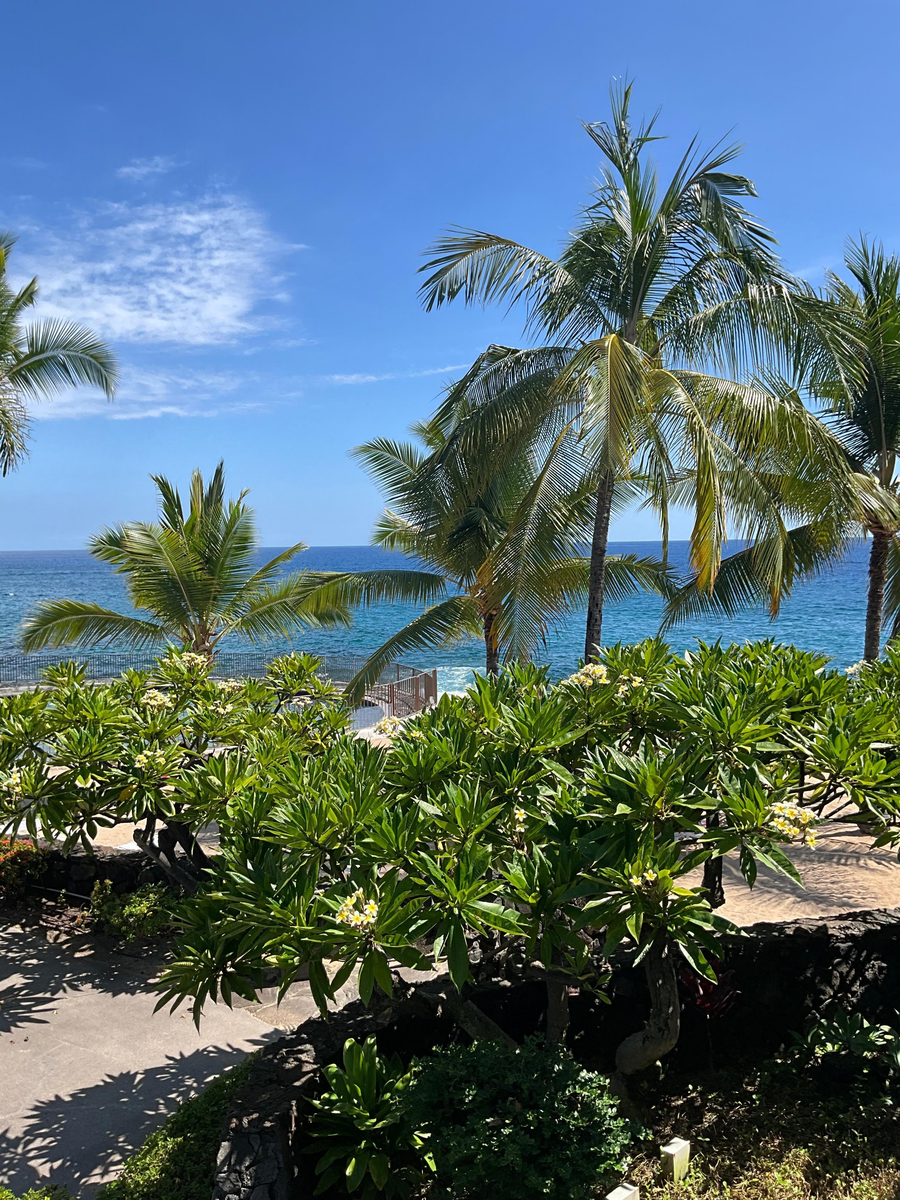 View from the Lanai. 