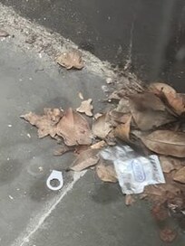 The private court yard